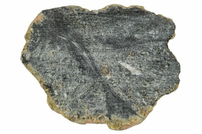 Polished Lunar Meteorite ( g) End Cut Slice - NWA #333155